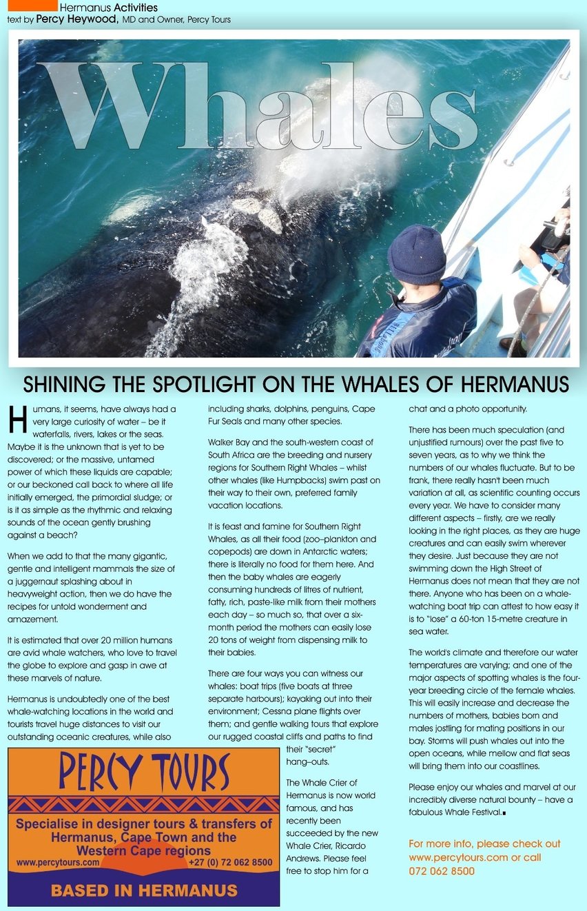 Whale watching in Hermanus article in Whale Talk magazine of Hermanus, near Cape Town, South Africa