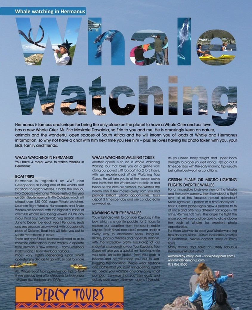 Whale watching in Hermanus article in Whale Talk magazine of Hermanus, near Cape Town, South Africa
