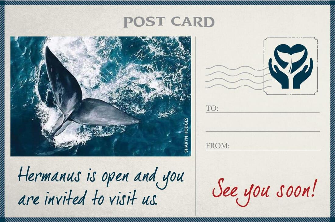 Hermanus Is Open - come and explore the great outdoors - Whales, beaches, ocean, countryside, wine lands.... near Cape Town, South Africa