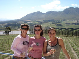Wine Tours of the Hermanus wine region offer over 200 incredible wines