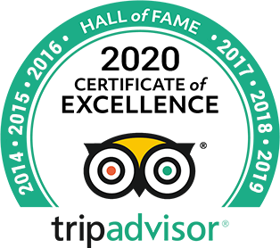 2020 TripAdvisor Certificate of Excellence award and Hall of Fame for 5 years of outstanding TripAdvisor reviews, Percy Tours Hermanus, South Africa