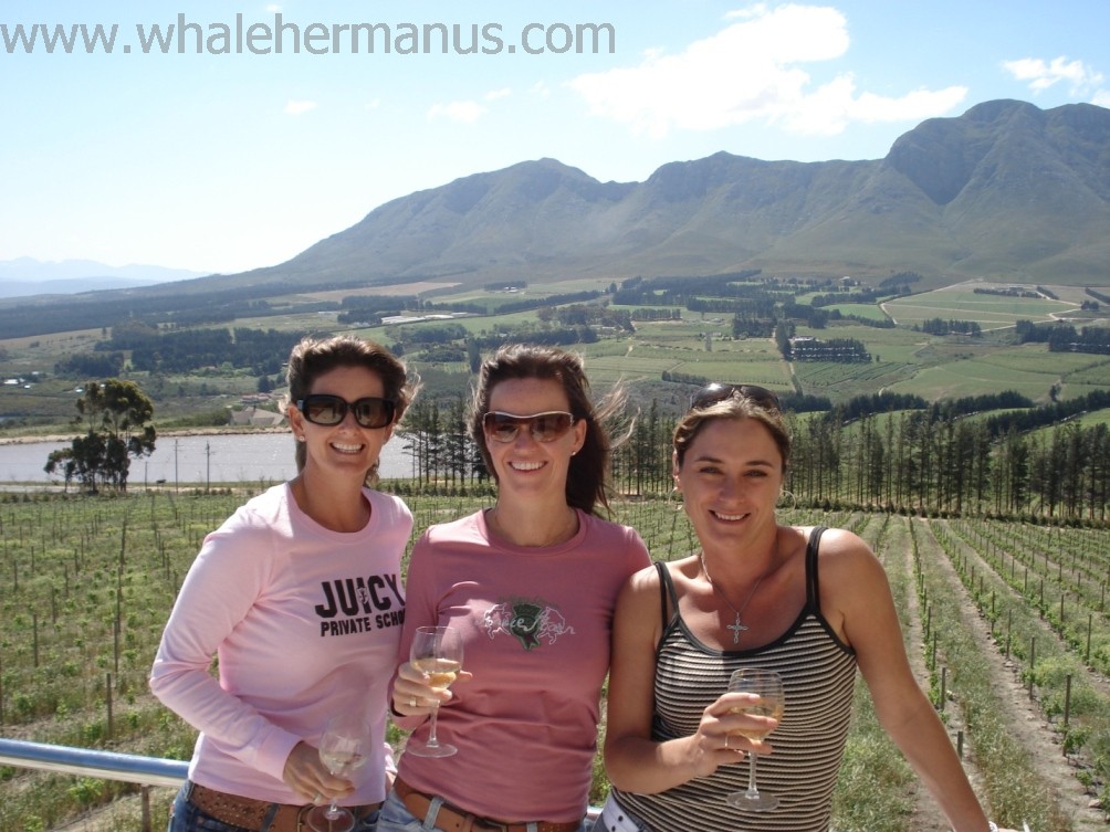 Wine Tours of the Hermanus wine estates, wine cellars and wineland regions, near Cape Town, South Africa